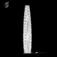 lampion cactus prisma Art.No.CACFXL0PRS00000000EU